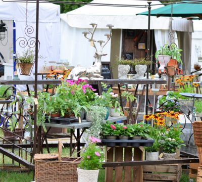 Veranstaltung Messe Garten Wohnen Lifestyle historisches Bauhofareal und Küchengarten Schloss Eutin