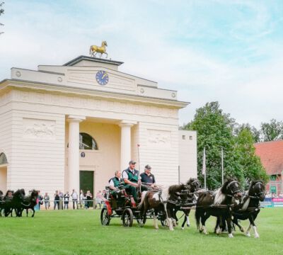 Veranstaltung Messe Garten Wohnen Lifestyle Landgestüt Redefin