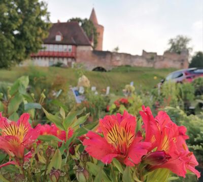 Veranstaltung Messe Garten Wohnen Lifestyle Burg Stargard