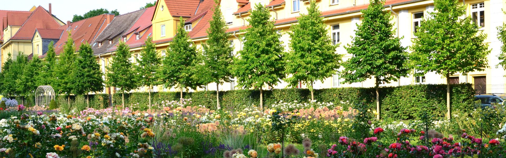 Header LebensArt Aschersleben