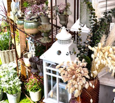 Veranstaltung Messe Garten Wohnen Lifestyle Schlosspark Großharthau