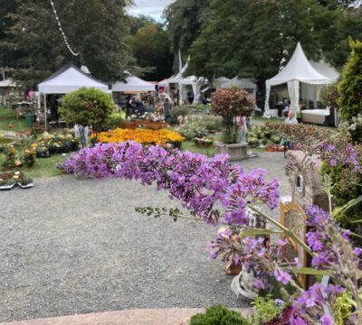 Veranstaltung Messe Garten Wohnen Lifestyle Schloss Brandis