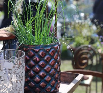 Veranstaltung Messe Garten Wohnen Lifestyle Altjeßnitz