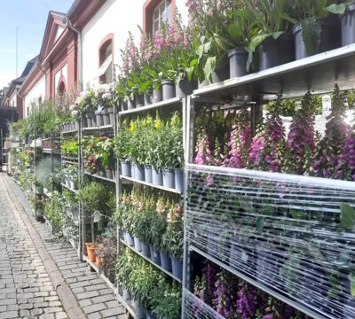 Veranstaltung Messe Garten Wohnen Lifestyle Landgestüt Dillenburg