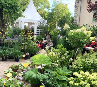 Veranstaltung Messe Garten Wohnen Lifestyle Schloss Kartzow